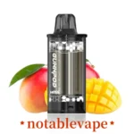 noosa tobacconist - Professional Guide and Review