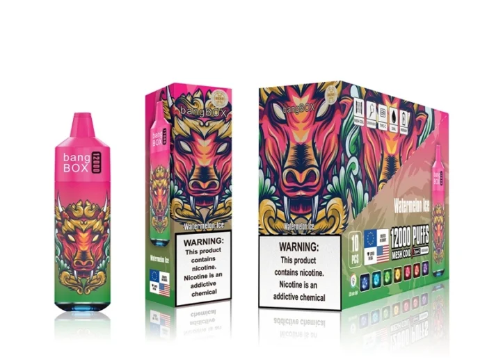 Bangbox 12000 Puffs Disposable Vape – Multiple Flavor (2)