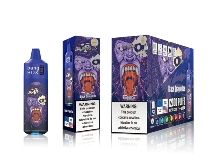 Bangbox 12000 Puffs Disposable Vape – Multiple Flavor (2)