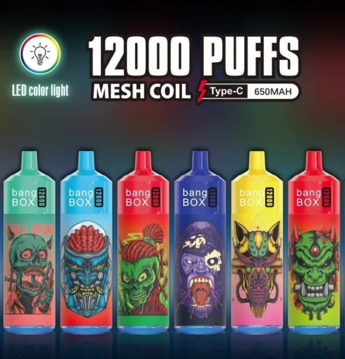 Bangbox 12000 Puffs Disposable Vape – Multiple Flavor
