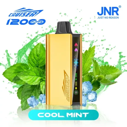 JNR Cruiser 12000 Puffs –Cool Mint